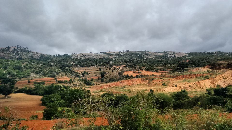 Photo of An escapade to mini Bandipur - Bangalore to Thattekere Lake 12/20 by ADITI