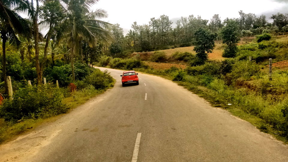 Photo of An escapade to mini Bandipur - Bangalore to Thattekere Lake 13/20 by ADITI