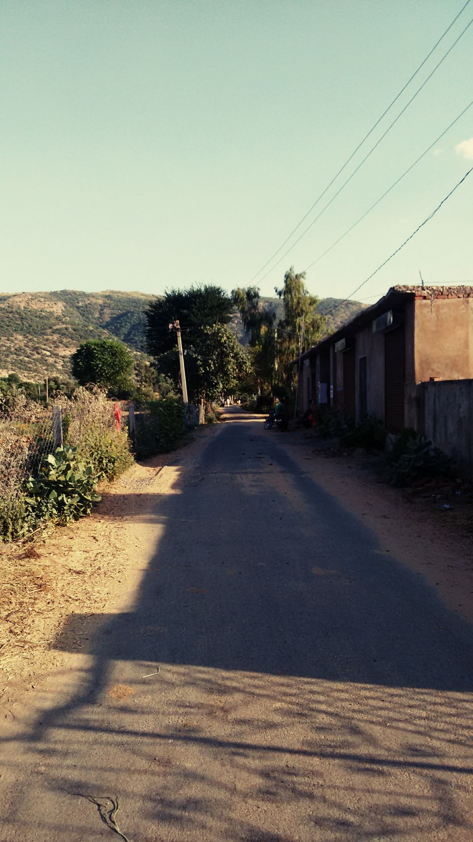 Photo of Bangalore to Rajasthan - The runaway guide 39/53 by ADITI