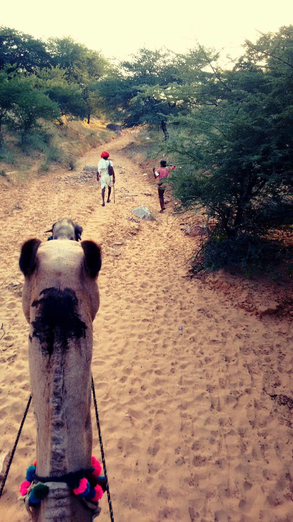 Photo of Bangalore to Rajasthan - The runaway guide 40/53 by ADITI