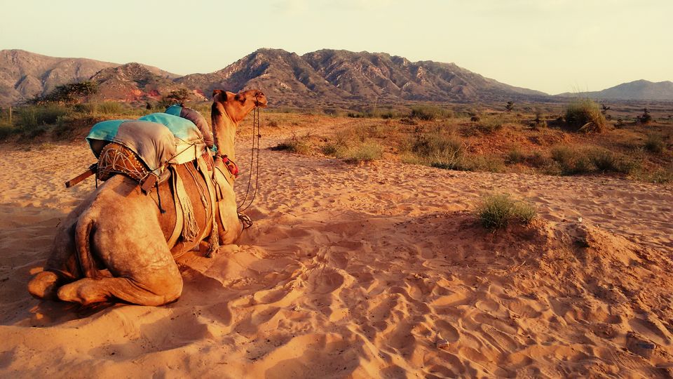 Photo of Bangalore to Rajasthan - The runaway guide 42/53 by ADITI