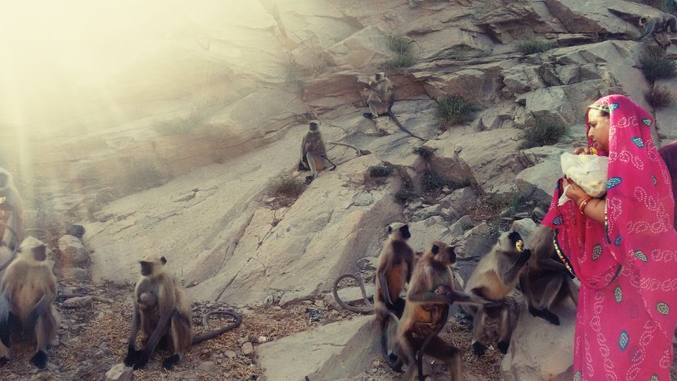Photo of Bangalore to Rajasthan - The runaway guide 52/53 by ADITI