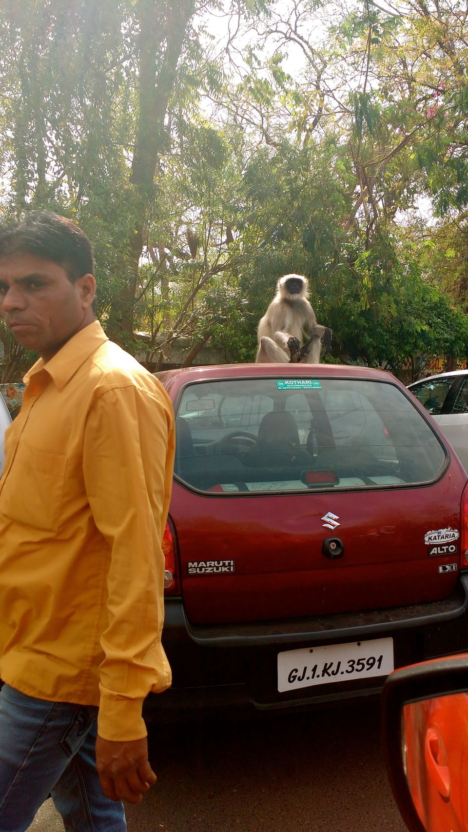 Photo of Bangalore to Rann of Kutch - A roadtrip to remember 20/72 by ADITI