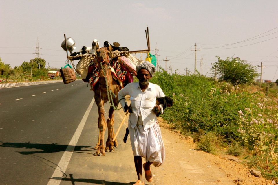 Photo of Bangalore to Rann of Kutch - A roadtrip to remember 32/72 by ADITI