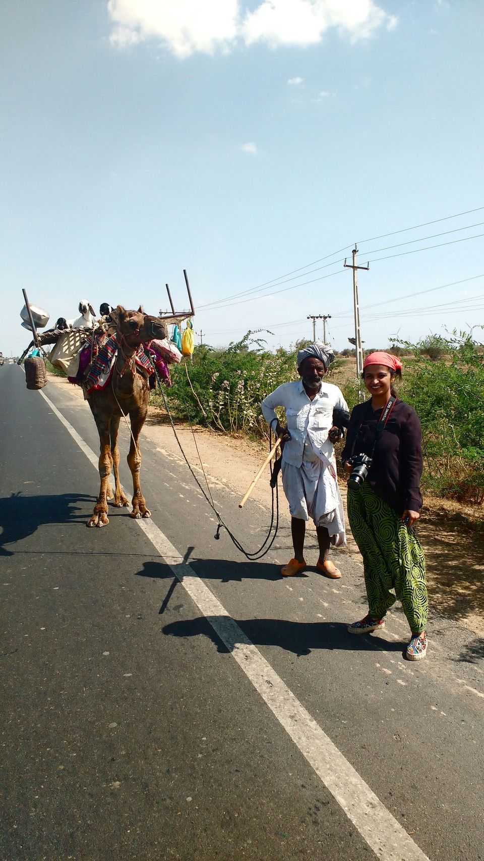 Photo of Bangalore to Rann of Kutch - A roadtrip to remember 37/72 by ADITI