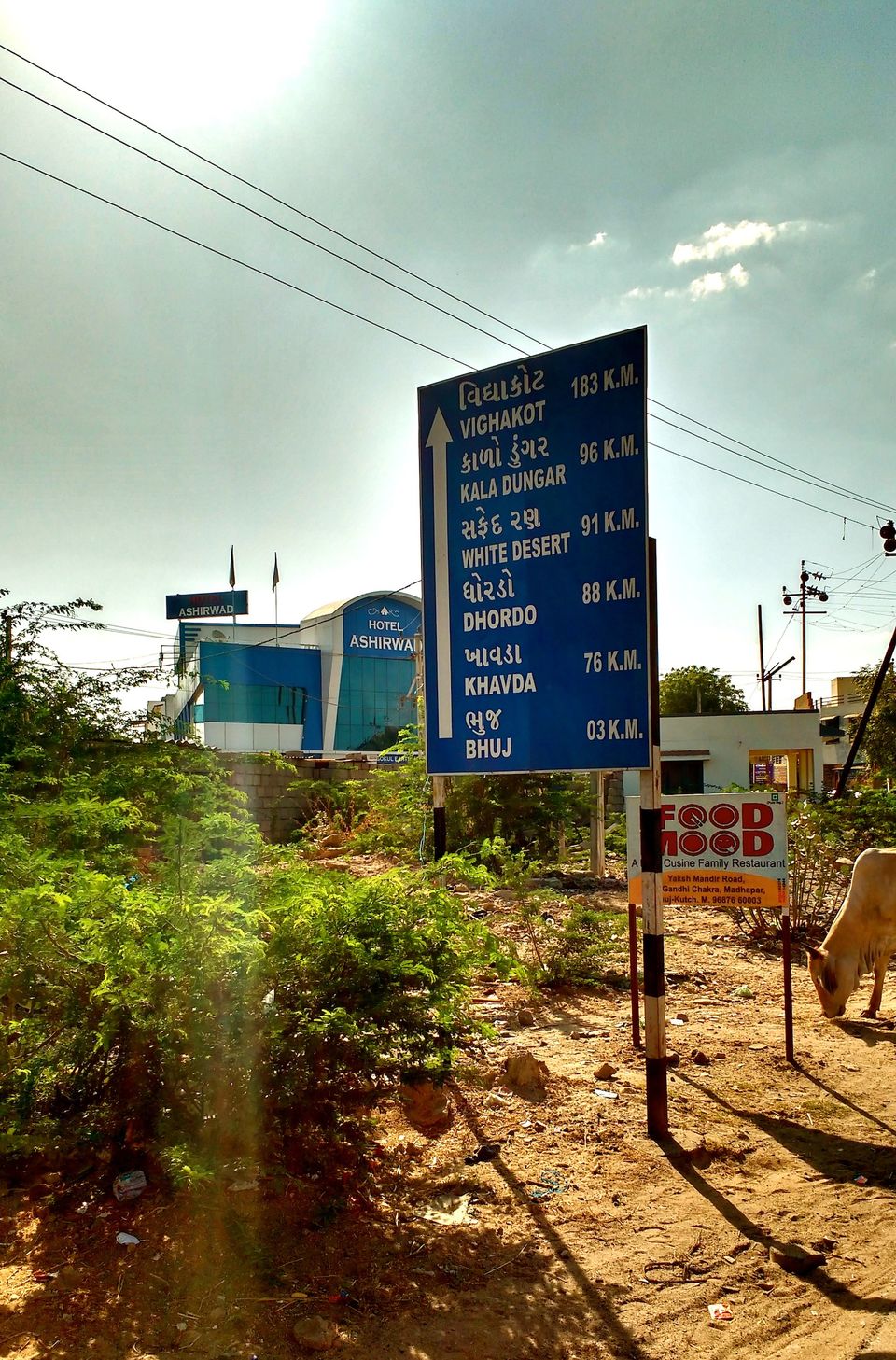 Photo of Bangalore to Rann of Kutch - A roadtrip to remember 39/72 by ADITI
