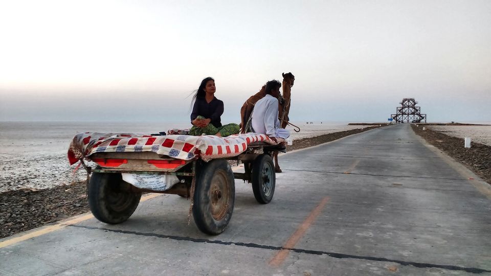 Photo of Bangalore to Rann of Kutch - A roadtrip to remember 42/72 by ADITI
