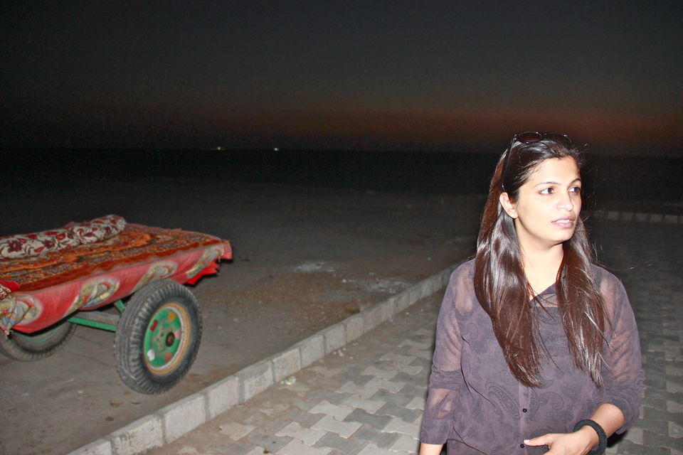 Photo of Bangalore to Rann of Kutch - A roadtrip to remember 61/72 by ADITI