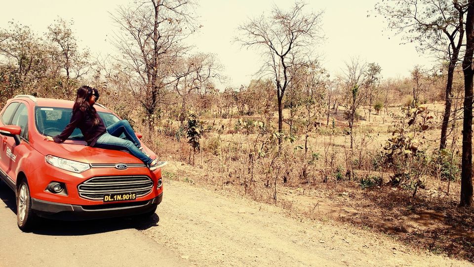 Photo of Bangalore to Rann of Kutch - A roadtrip to remember 64/72 by ADITI