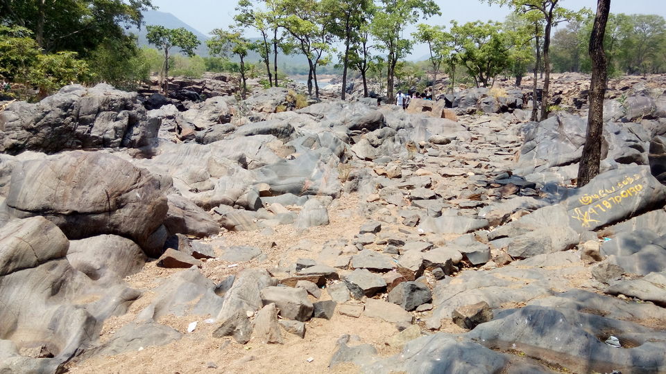 Photo of The Mad nomad couple - Bangalore to Hogenakkal 5/13 by ADITI
