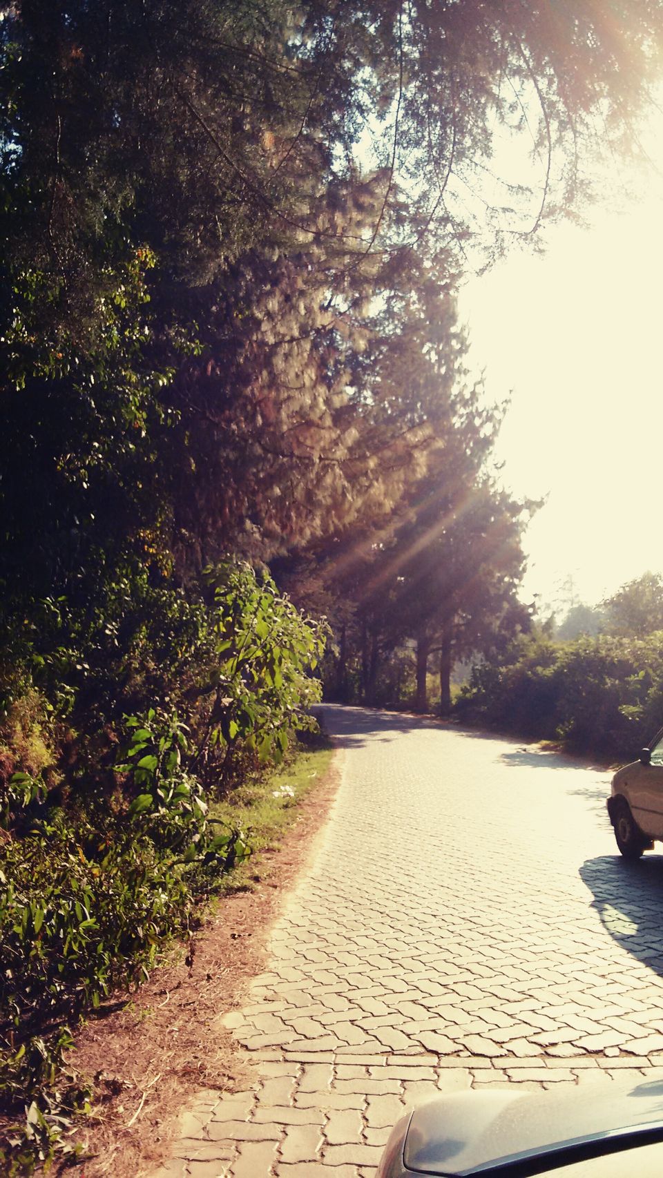 Photo of Mad Nomad couple- Bangalore Ooty drive 12/21 by ADITI