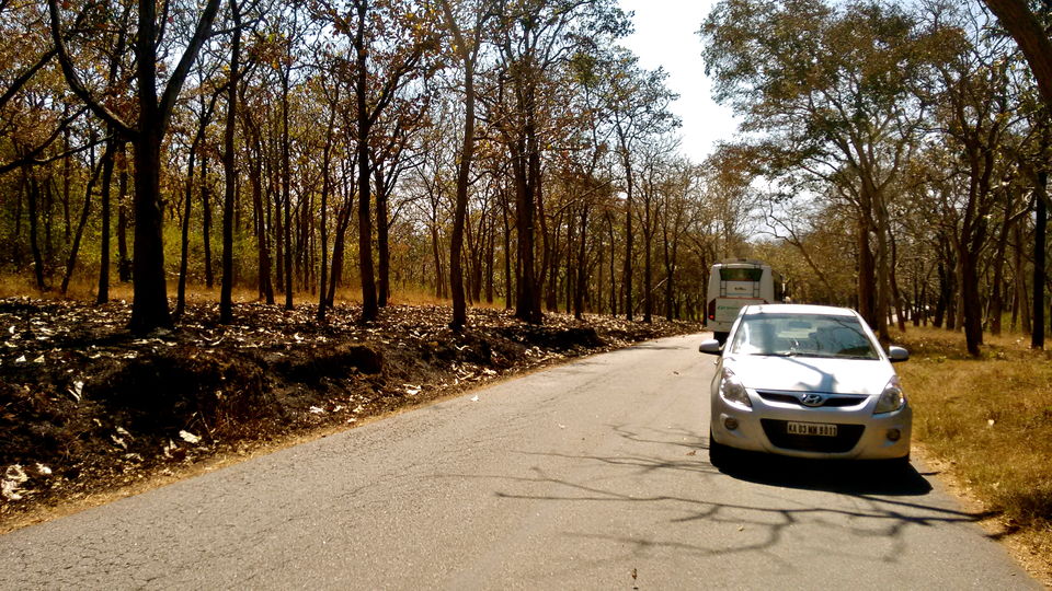Photo of Mad Nomad couple- Bangalore Ooty drive 21/21 by ADITI