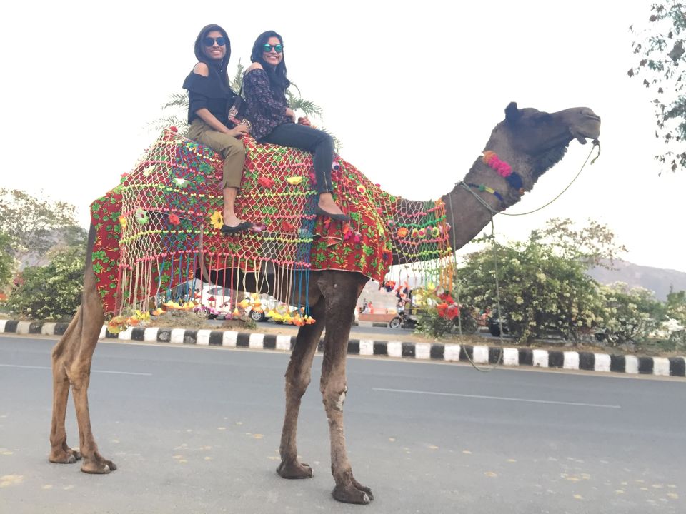 Photo of 48hrs in Jaipur - The Pink City #rajasthaninphotos by Swetha Elias