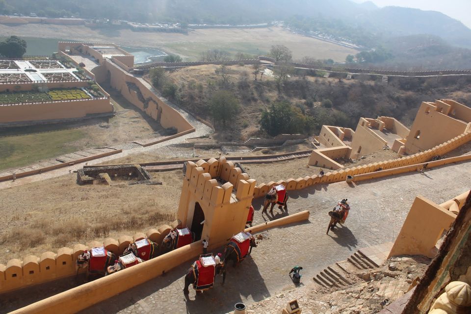 Photo of Amer Fort, Devisinghpura, Amer, Jaipur, Rajasthan, India by Swetha Elias