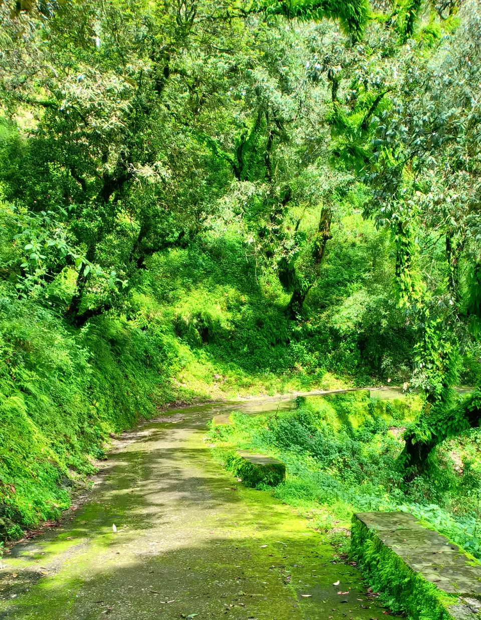 Photo of Lansdowne, Uttarakhand, India by Sachin Deo Verma