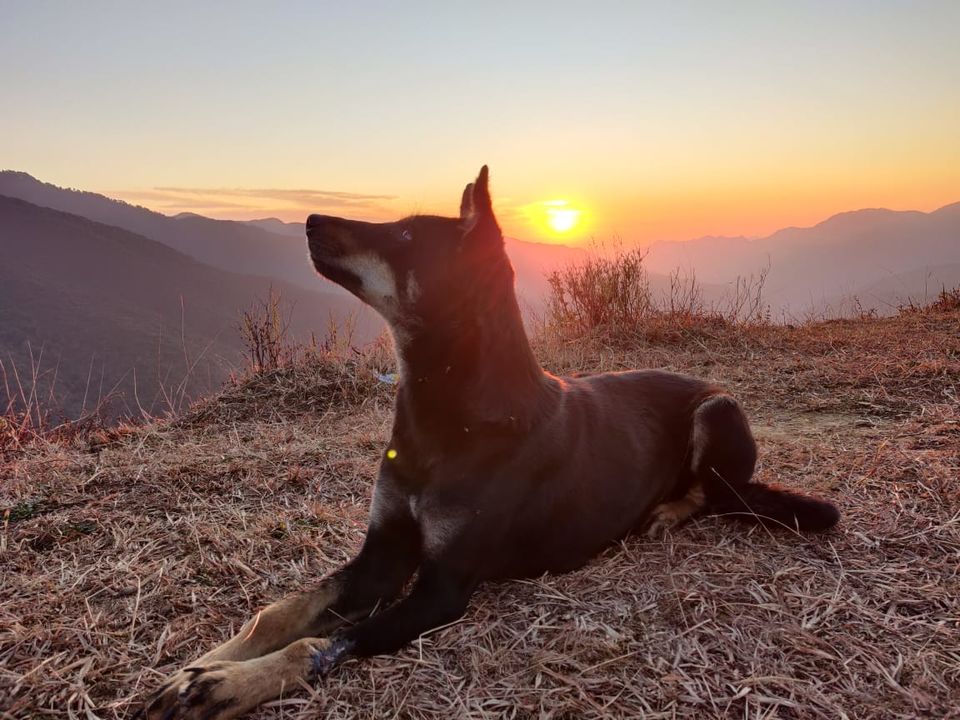 Photo of Nag Tibba Base Camp, Jaunpur Range, Uttarakhand, India by Sachin Deo Verma