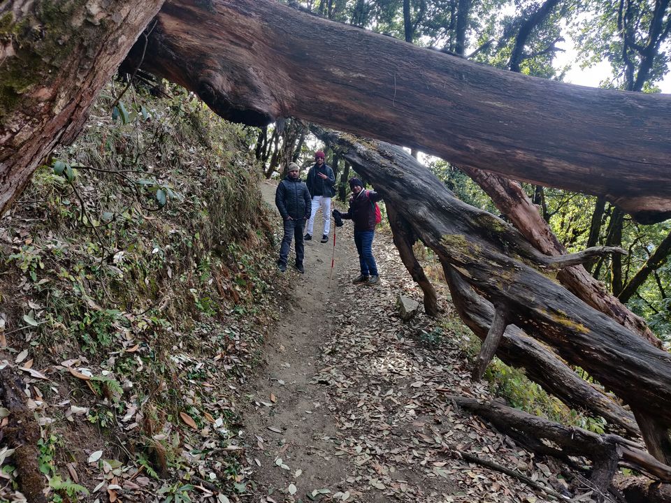 Photo of Nag Tibba Trek, Nainbag, Uttarakhand, India by Sachin Deo Verma
