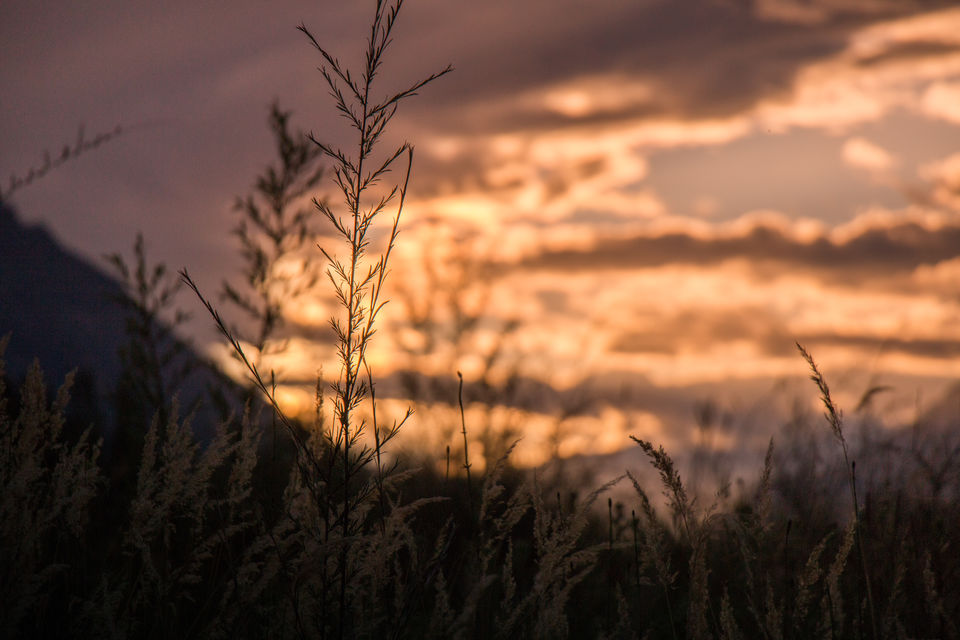 Photo of Nubra Valley by Shantanu Dalwadi