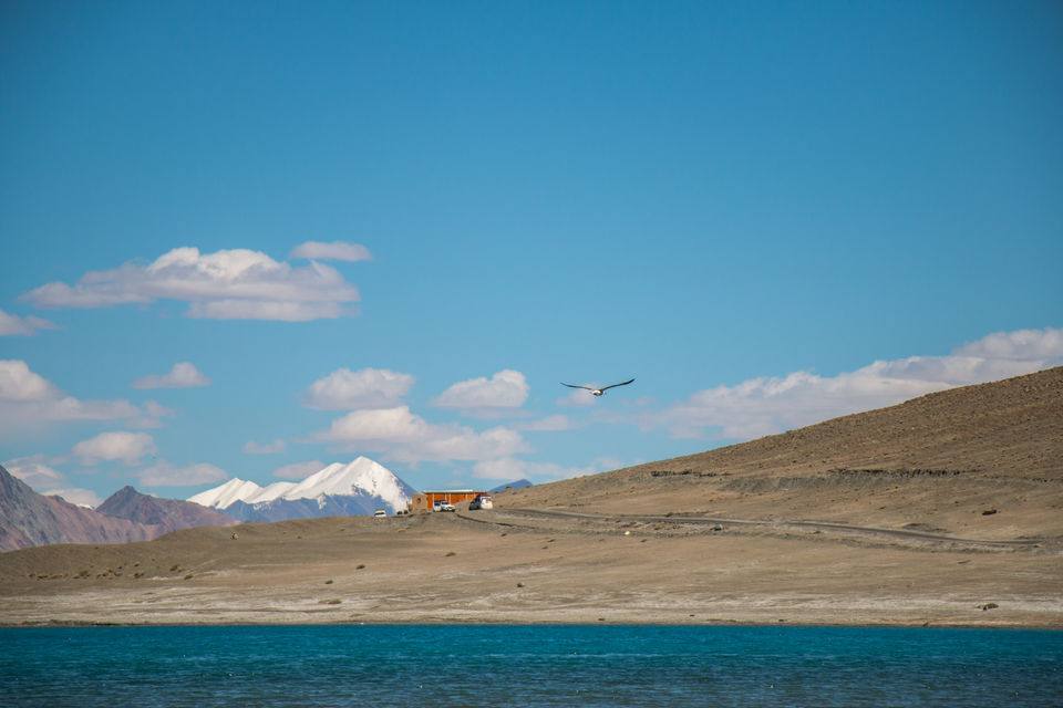 Photo of Pangong Lake by Shantanu Dalwadi