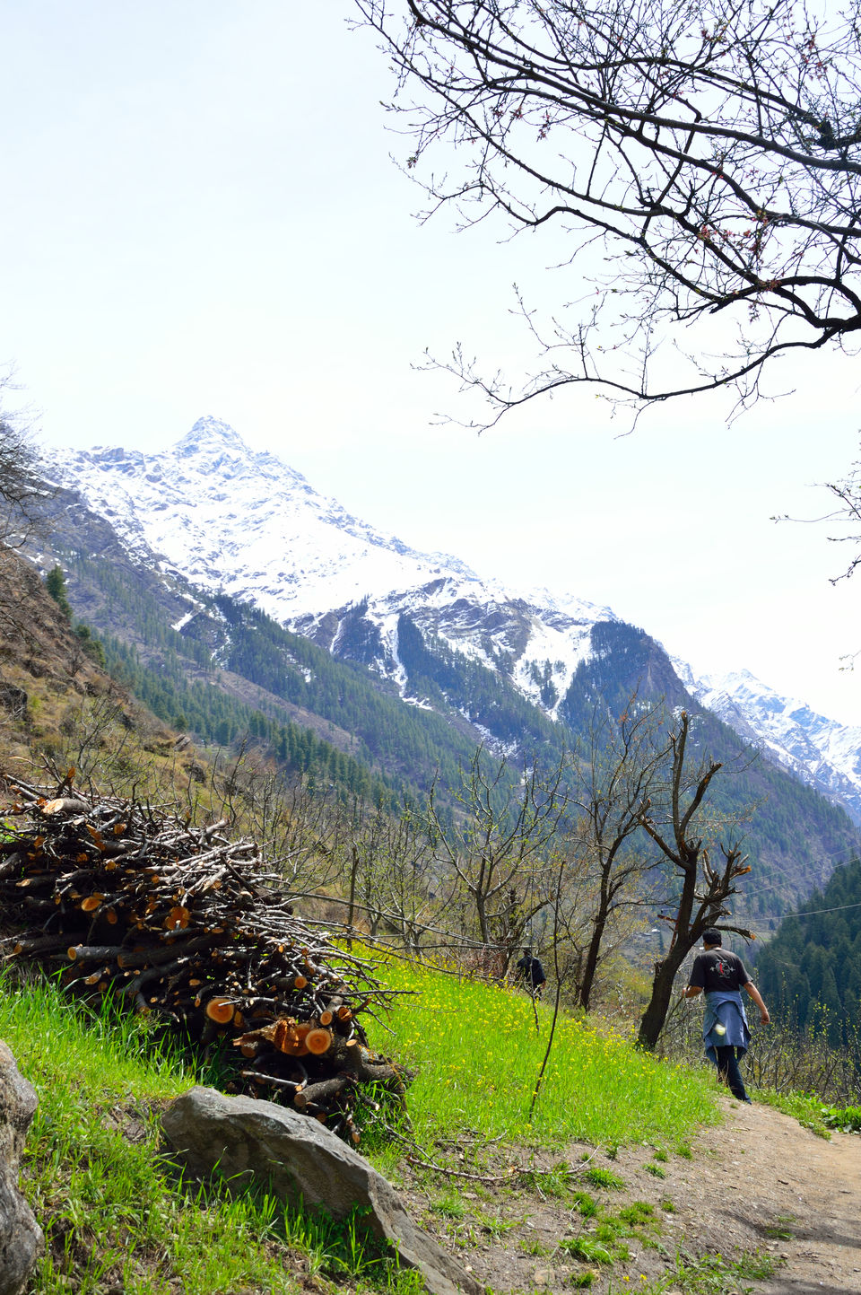 Photo of weekend relaxing at Kasol and trek to Kheerganga , Himachal pradesh 100/143 by arneb banerjee