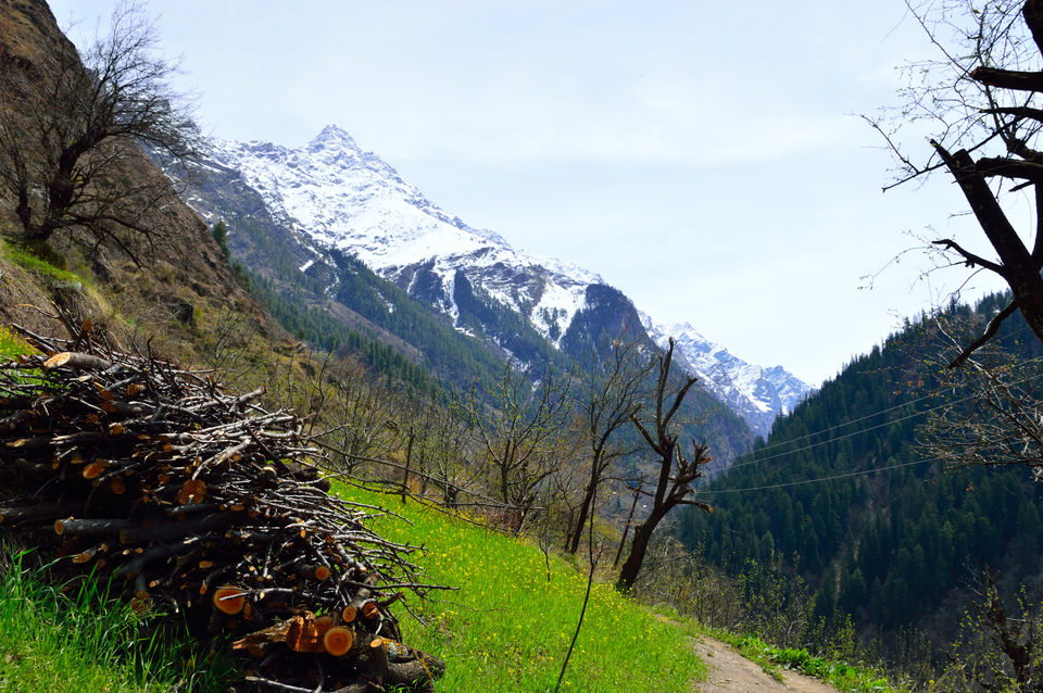 Photo of weekend relaxing at Kasol and trek to Kheerganga , Himachal pradesh 101/143 by arneb banerjee