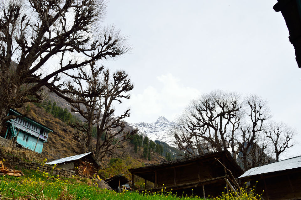 Photo of weekend relaxing at Kasol and trek to Kheerganga , Himachal pradesh 105/143 by arneb banerjee
