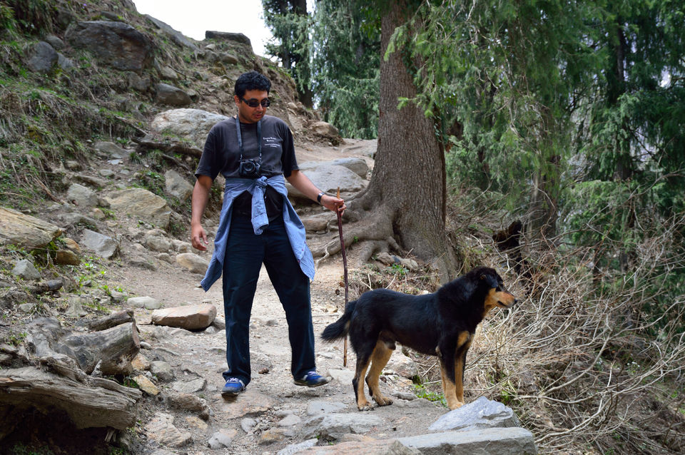 Photo of weekend relaxing at Kasol and trek to Kheerganga , Himachal pradesh 108/143 by arneb banerjee