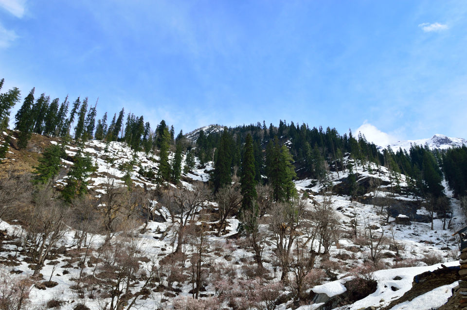 Photo of weekend relaxing at Kasol and trek to Kheerganga , Himachal pradesh 112/143 by arneb banerjee