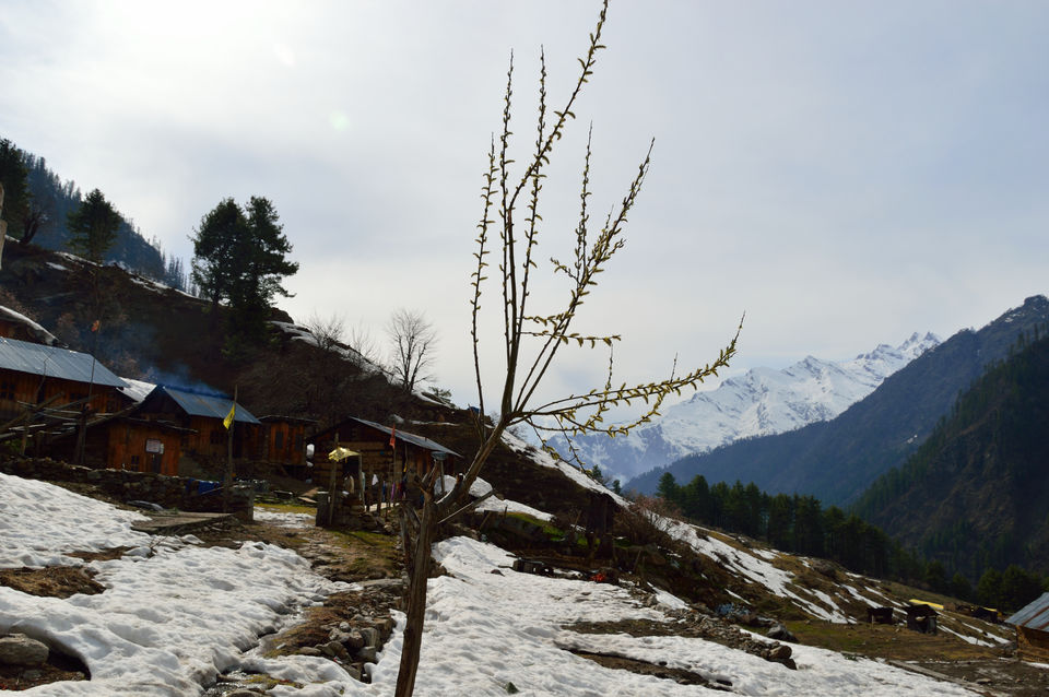Photo of weekend relaxing at Kasol and trek to Kheerganga , Himachal pradesh 117/143 by arneb banerjee