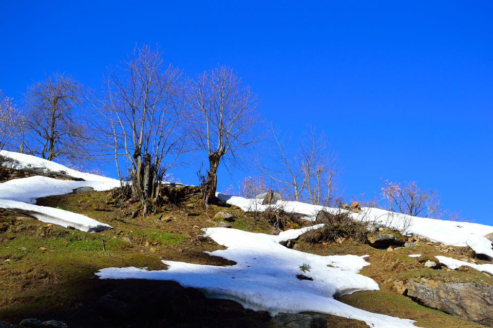 Photo of weekend relaxing at Kasol and trek to Kheerganga , Himachal pradesh 129/143 by arneb banerjee