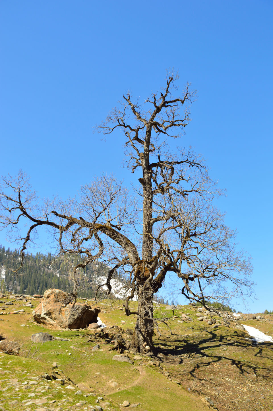 Photo of weekend relaxing at Kasol and trek to Kheerganga , Himachal pradesh 133/143 by arneb banerjee