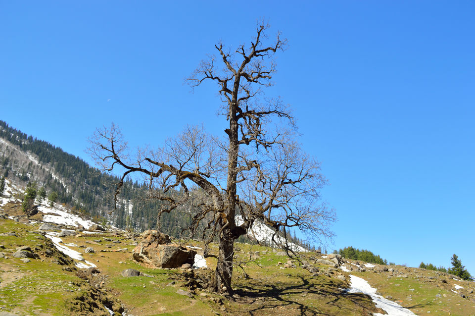 Photo of weekend relaxing at Kasol and trek to Kheerganga , Himachal pradesh 134/143 by arneb banerjee