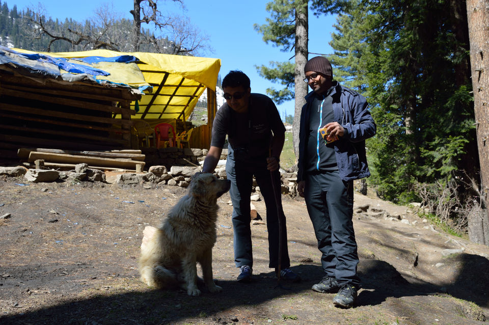 Photo of weekend relaxing at Kasol and trek to Kheerganga , Himachal pradesh 135/143 by arneb banerjee