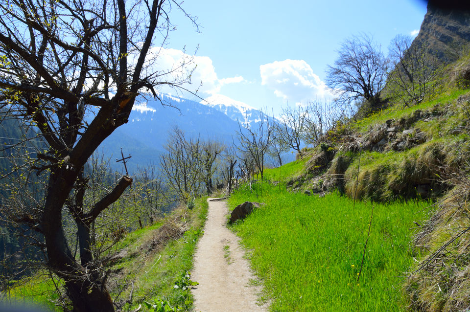 Photo of weekend relaxing at Kasol and trek to Kheerganga , Himachal pradesh 139/143 by arneb banerjee