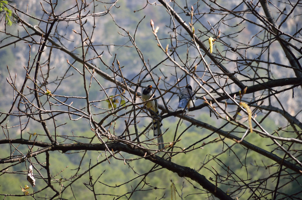 Photo of weekend relaxing at Kasol and trek to Kheerganga , Himachal pradesh 143/143 by arneb banerjee