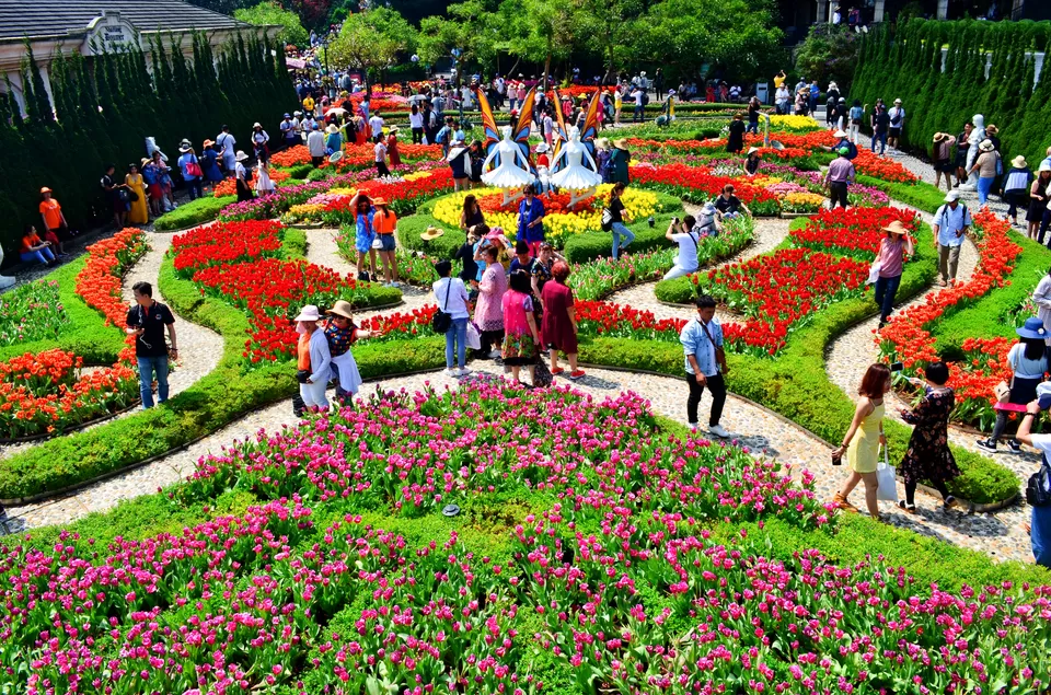 Photo of Flower garden, Đường Trần Phú, Phường 3, Thành phố Đà Lạt, Lâm Đồng, Vietnam by Tripti Dewangan
