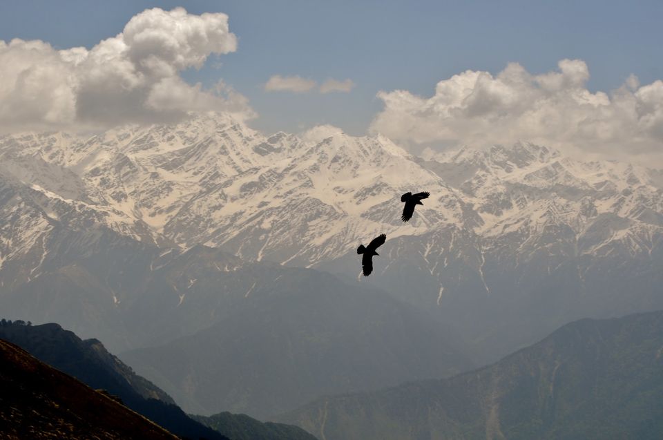 Photo of Dayara Bugyal Trek, India by Hinal Shah