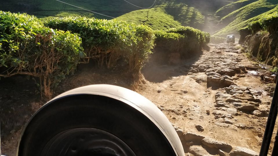 Photo of Your Guide to a Picturesque Road Trip to Munnar - TheTravellerLens by thetravellerlens