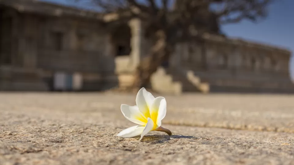 Photo of Vitthala Temple, Hampi, Carnatica, India by thetravellerlens