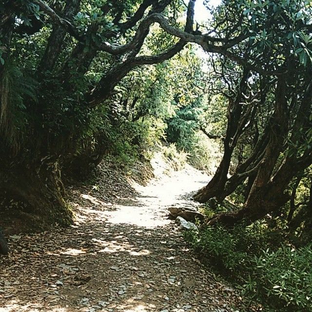 Photo of McLeod – McHigh (up in the Mountains) 2/6 by Shruti Angiras