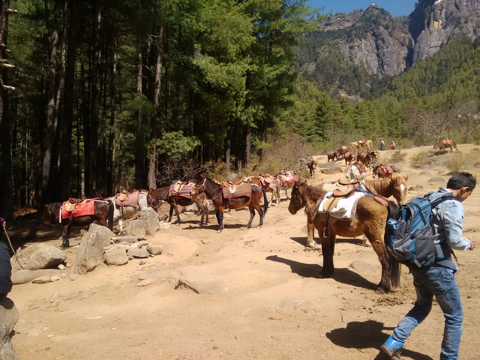 Photo of Bhutan : The land of Compassion and the Compassionate. 8/47 by Bidisha
