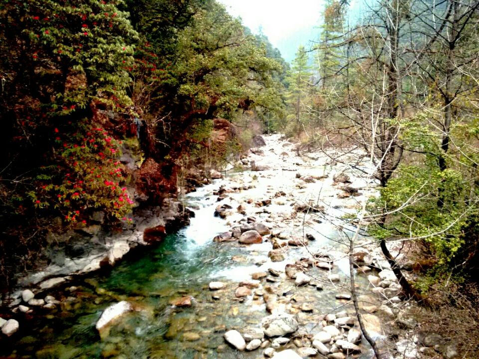 Photo of Bhutan : The land of Compassion and the Compassionate. 17/47 by Bidisha