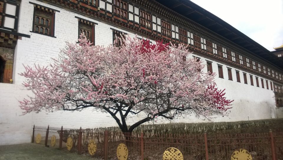 Photo of Bhutan : The land of Compassion and the Compassionate. 20/47 by Bidisha