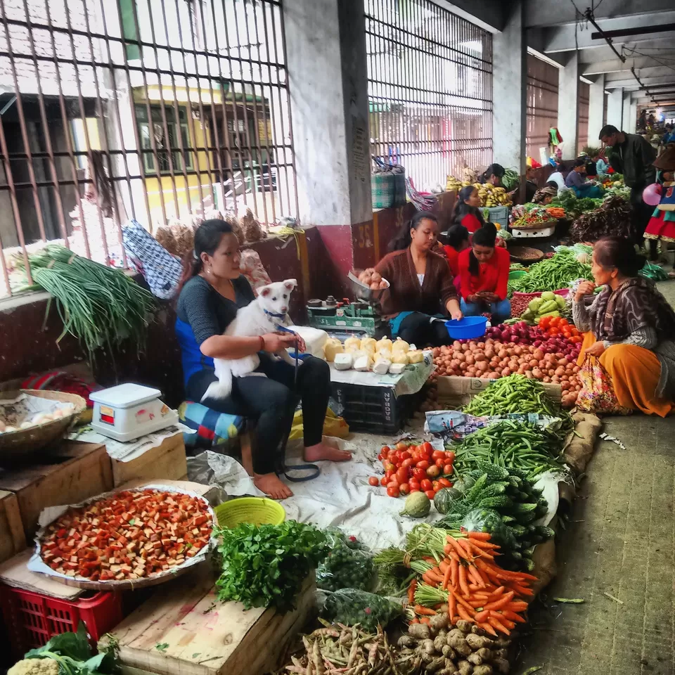 Photo of Gangtok, Sikkim, India by Bidisha