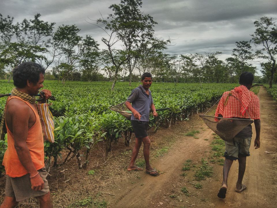 Photo of Gairkata- A Hidden Hamlet in Dooars by Bidisha