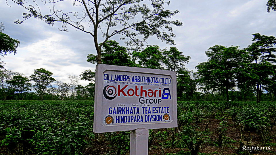 Photo of Gairkata- A Hidden Hamlet in Dooars by Bidisha