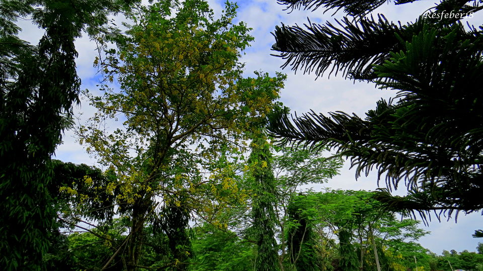 Photo of Gairkata- A Hidden Hamlet in Dooars by Bidisha
