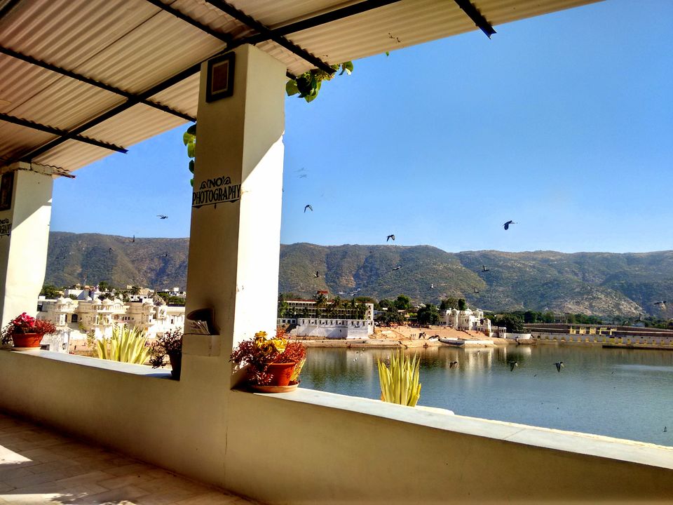 Photo of My first Glamping experience at Skywaltz, Pushkar. 1/1 by Bidisha