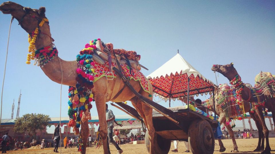 Photo of Pushkar, Rajasthan, India by Bidisha