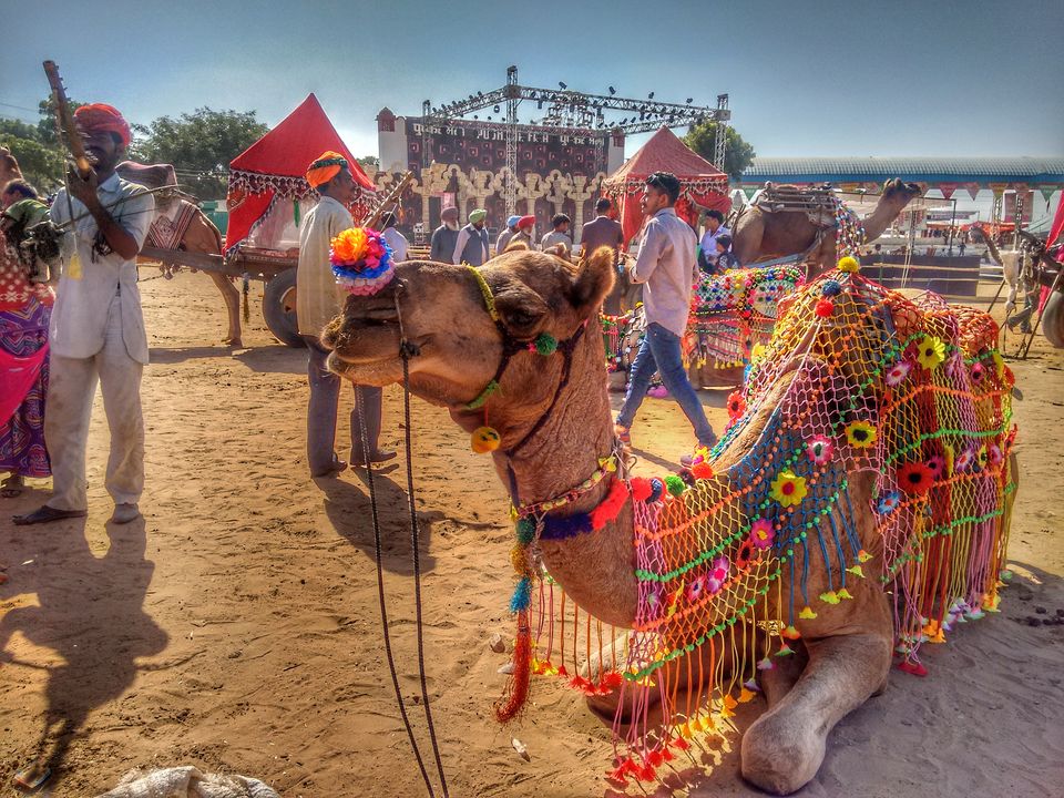 Photo of 10 Reasons Why the Pushkar Camel Fair is an Exceptional Travel Experience. by Bidisha
